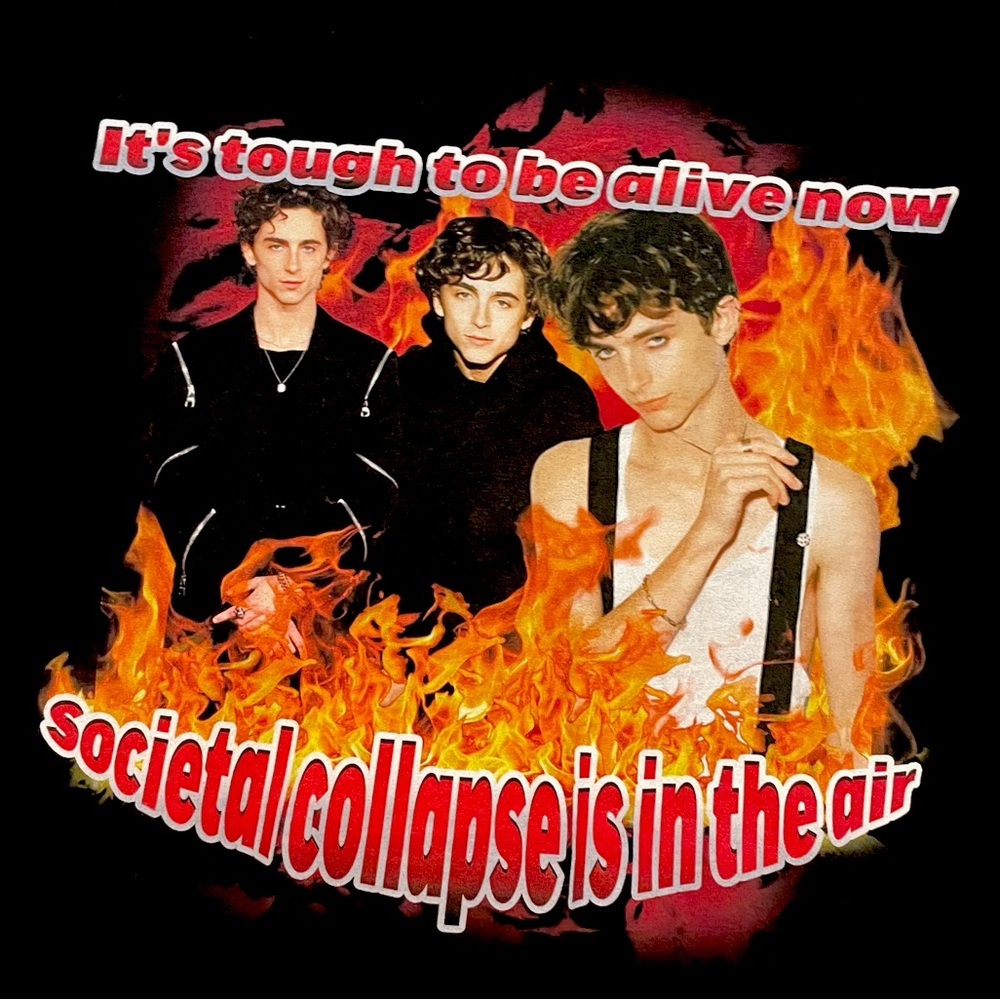 timothee chalamet graphic tee